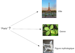 fa_web_sem12 (upload_65e895ac550be1012277f7a34ab226dc.png)
